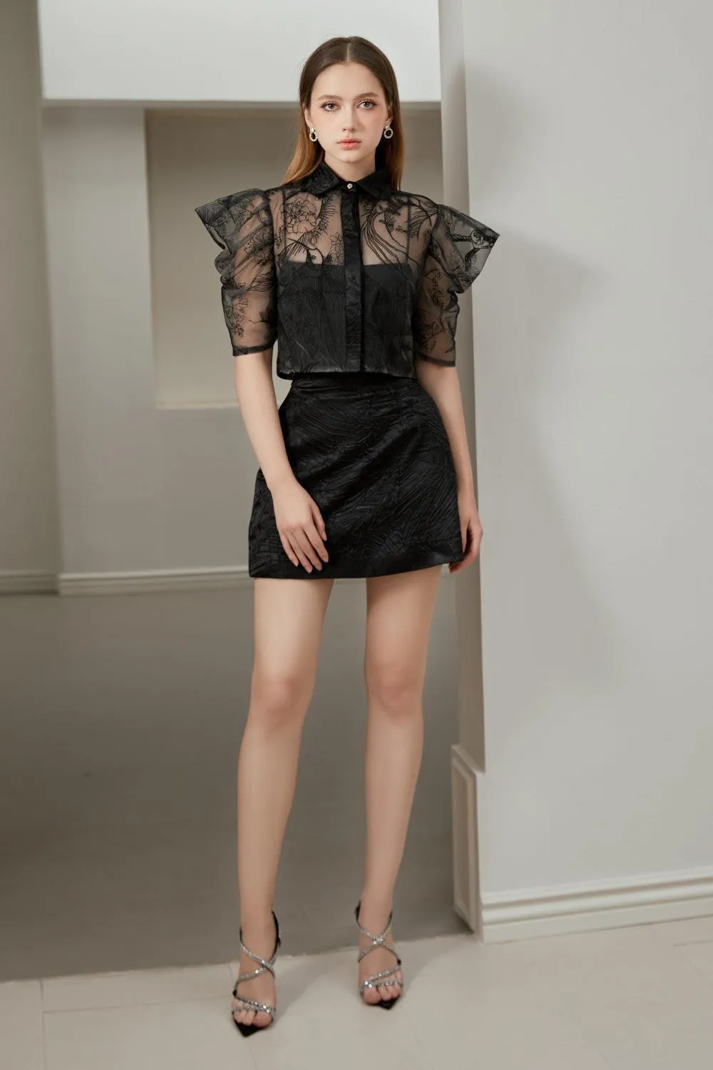 Fula Cropped Puffy Sleeved Mesh Shirt