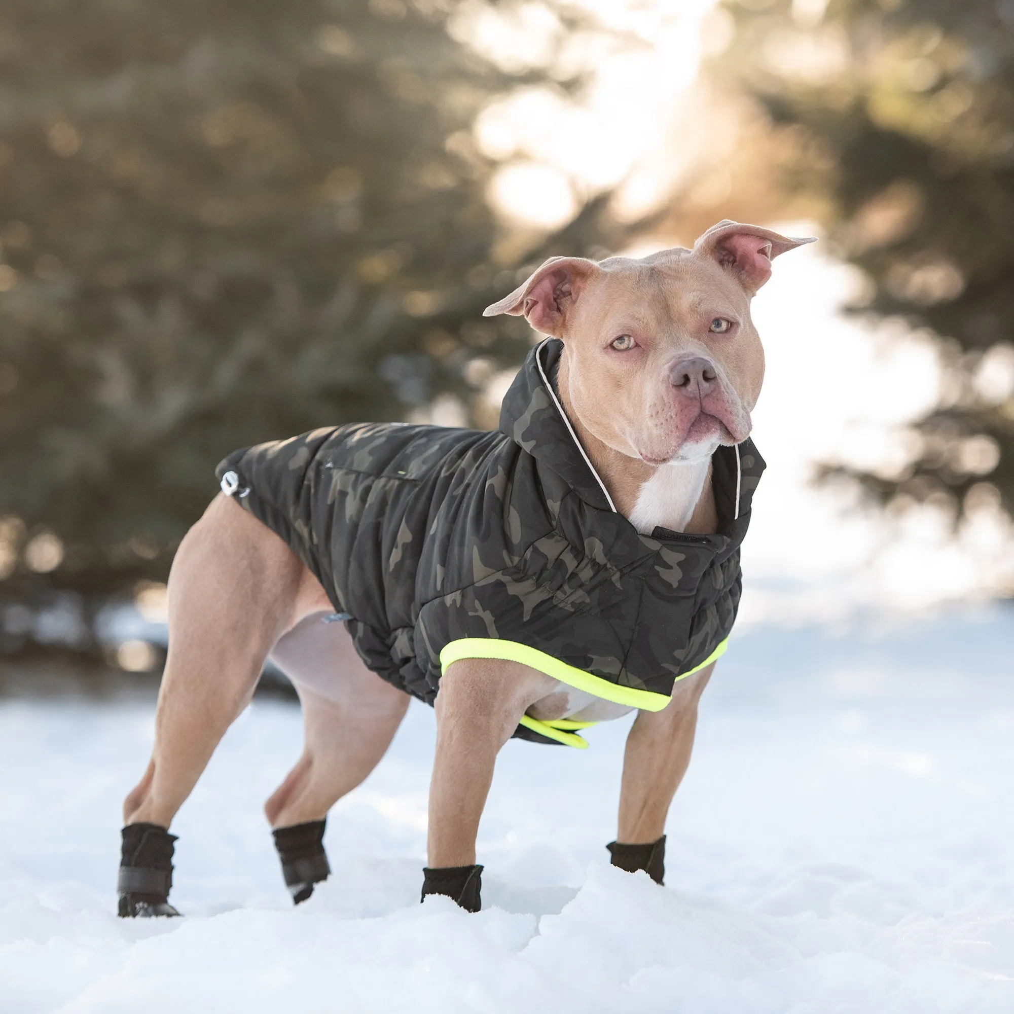 Recycled Parka - Camouflage | PetPals®