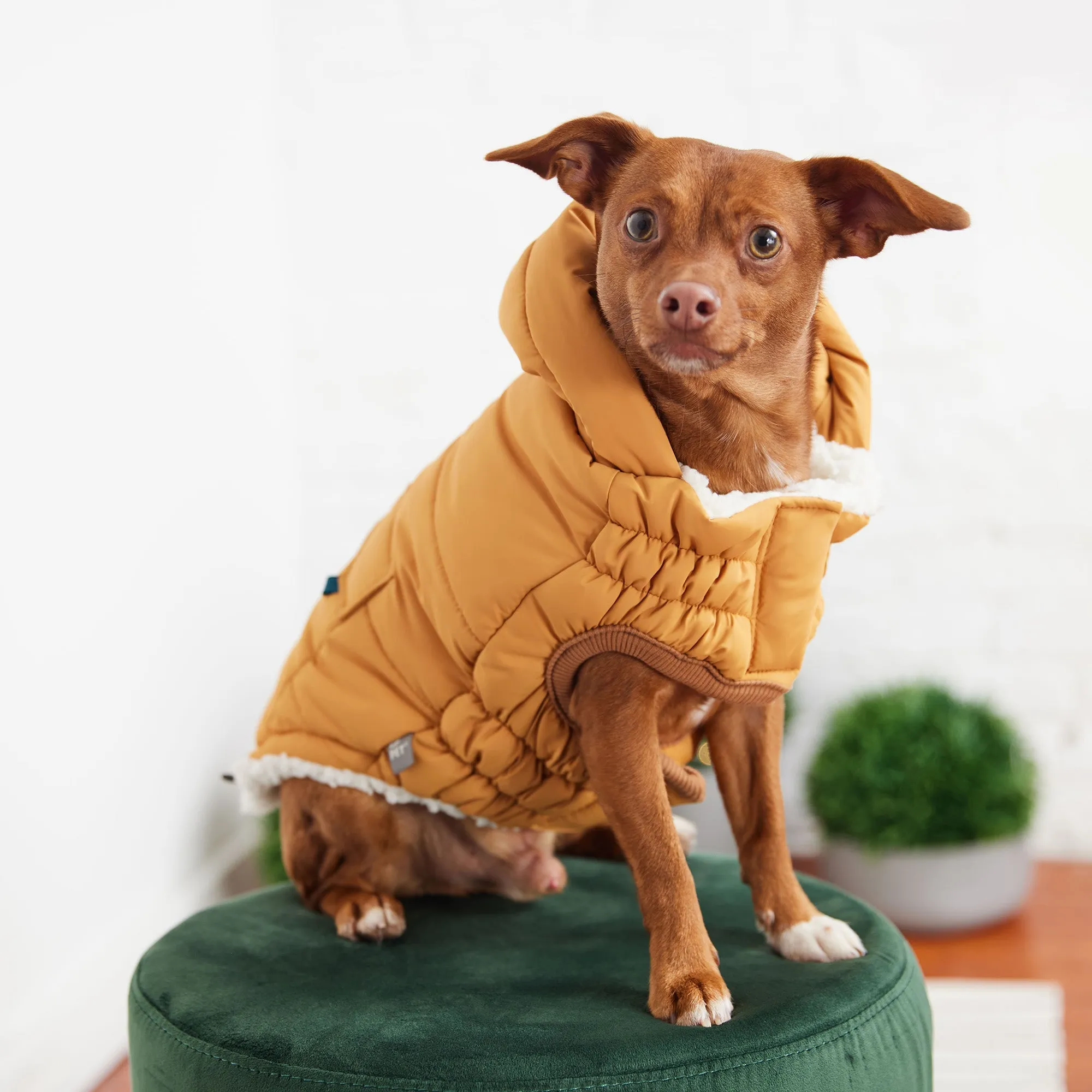 Ultra-Warm Super Puff Dog Parka – Snug & Stylish for Every Pup!